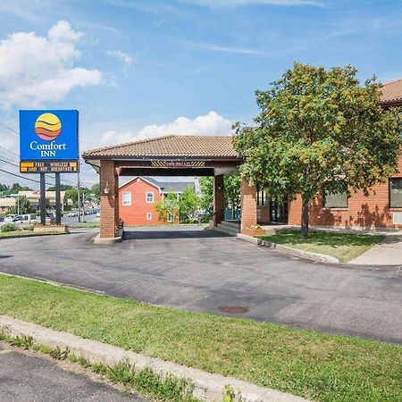 Comfort Inn Bathurst Dış mekan fotoğraf
