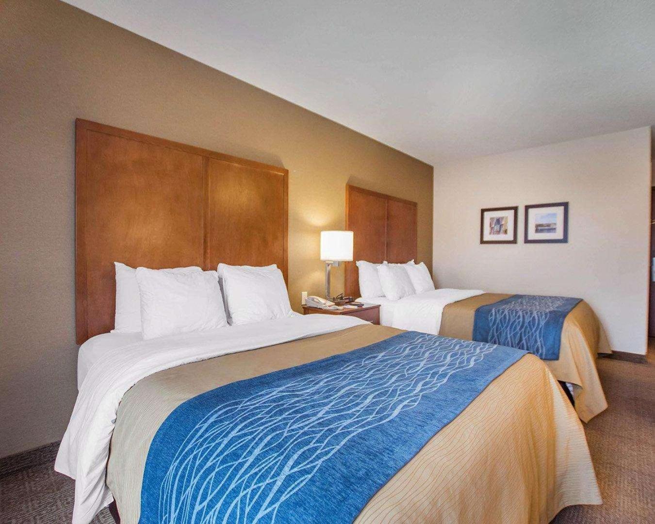 Comfort Inn Bathurst Dış mekan fotoğraf