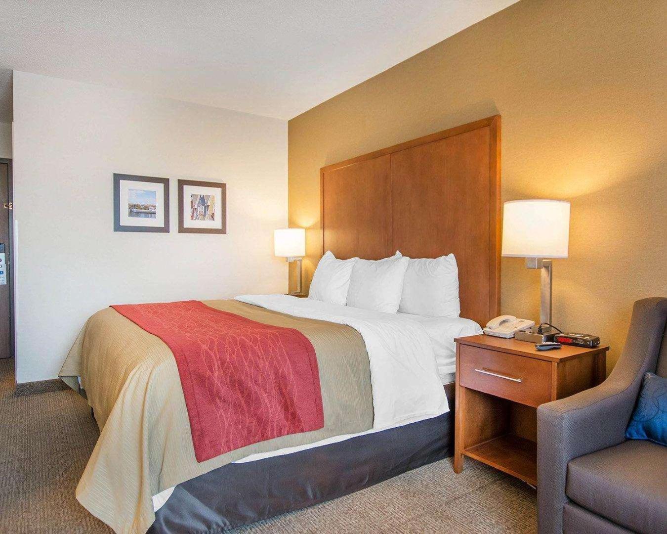 Comfort Inn Bathurst Dış mekan fotoğraf