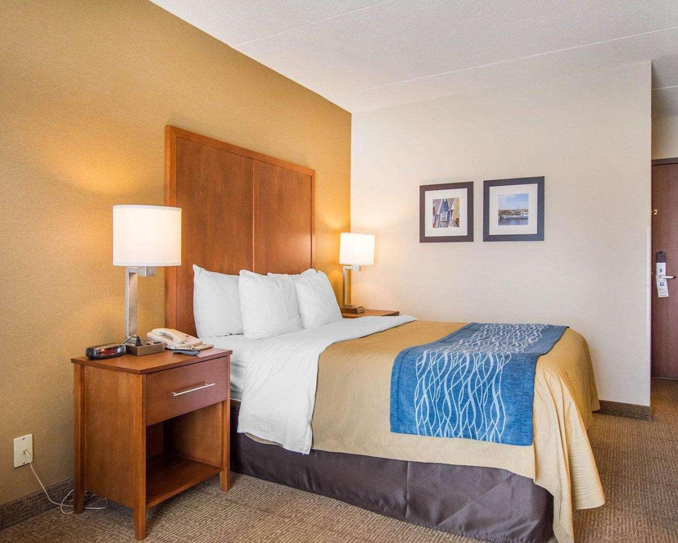 Comfort Inn Bathurst Dış mekan fotoğraf
